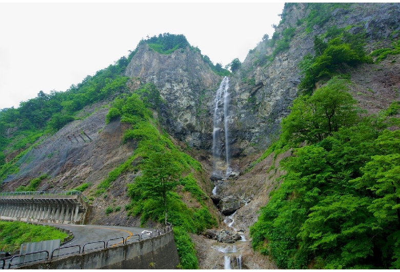 白山白川郷ホワイトロード