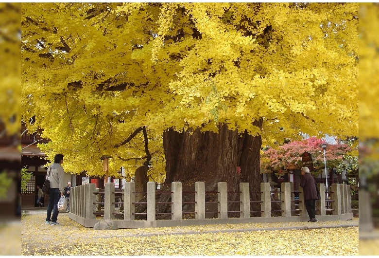 飛騨国分寺