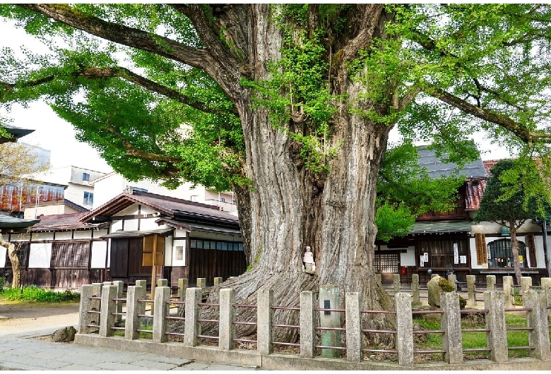 飛騨国分寺