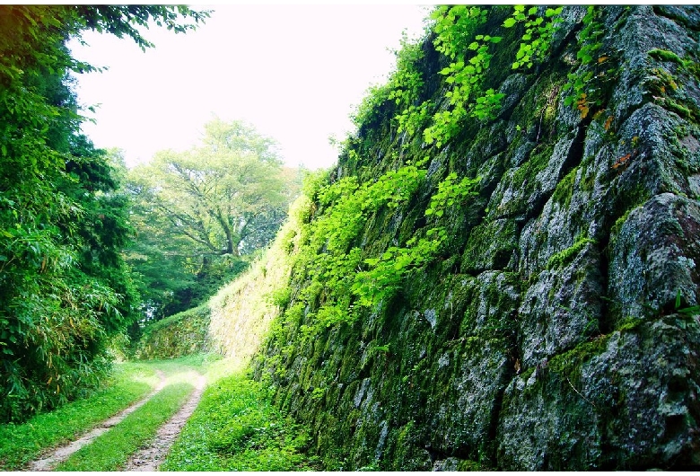 岩村城跡