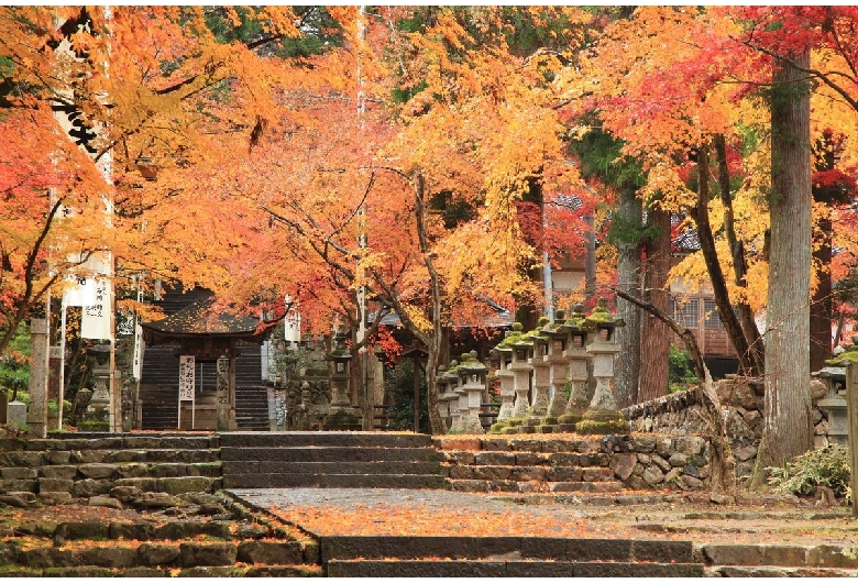 谷汲山 華厳寺