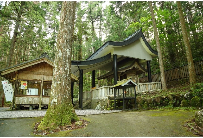 根道神社 (モネの池)