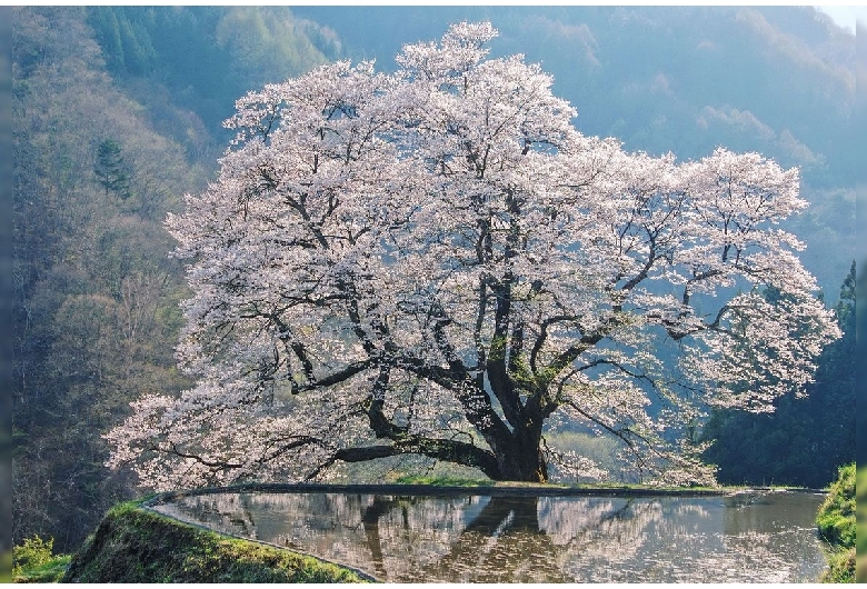 阿智村