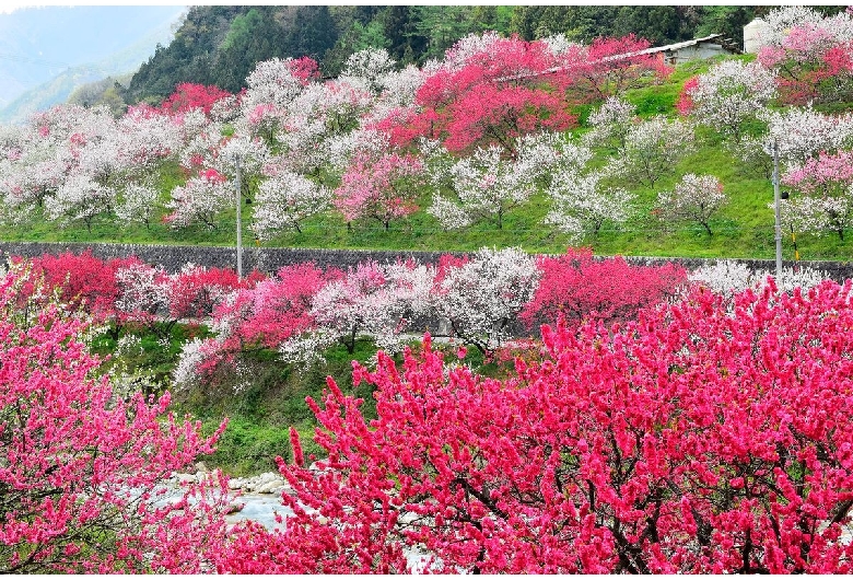 阿智村