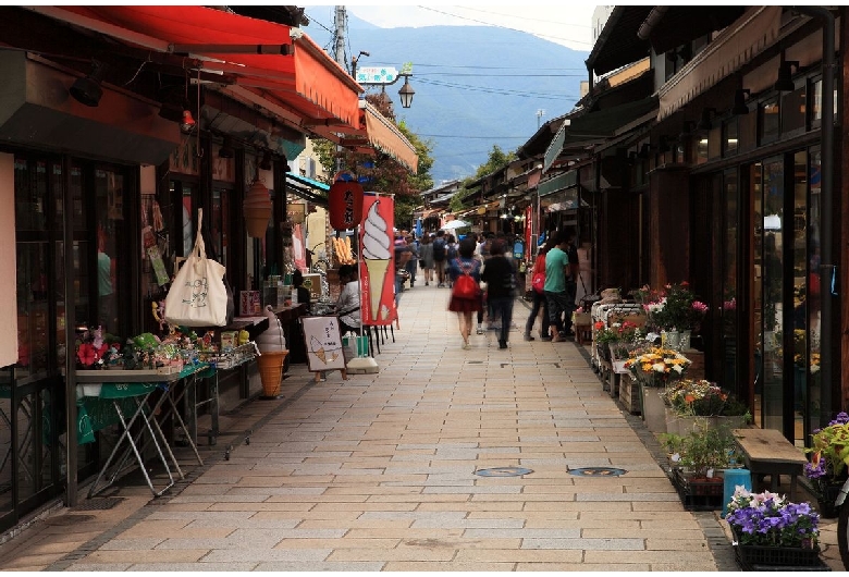 松本城周辺商店街（縄手通り・中町通り）