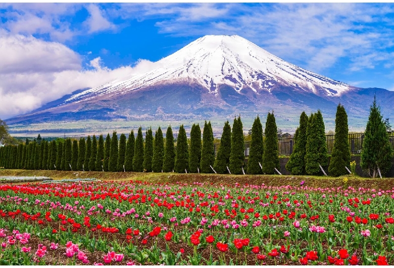 花の都公園（山中湖/富士山）