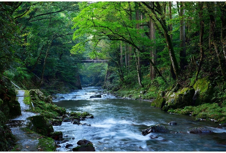 かずら橋