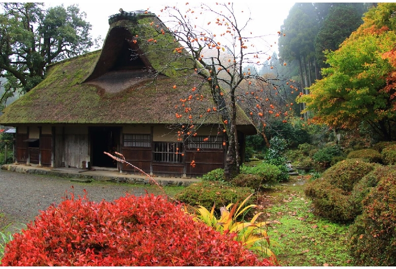 千古の家（坪川家住宅）