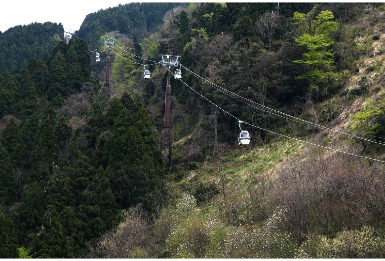 獅子吼高原