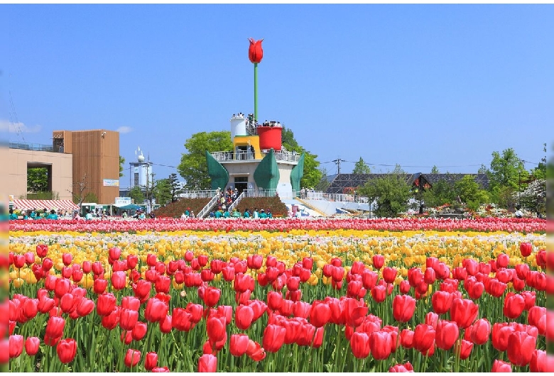 砺波チューリップ公園（チューリップ四季彩館）