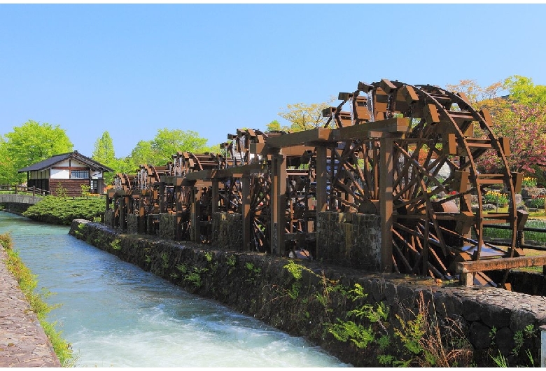 砺波チューリップ公園（チューリップ四季彩館）