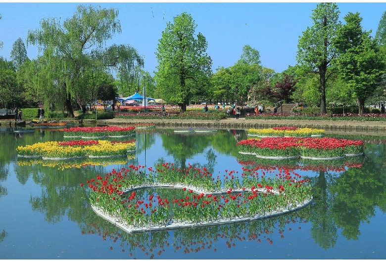 砺波チューリップ公園（チューリップ四季彩館）