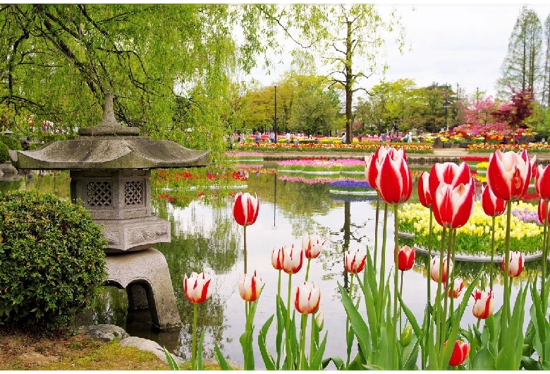 砺波チューリップ公園（チューリップ四季彩館）