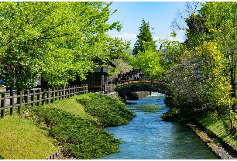 砺波チューリップ公園（チューリップ四季彩館）