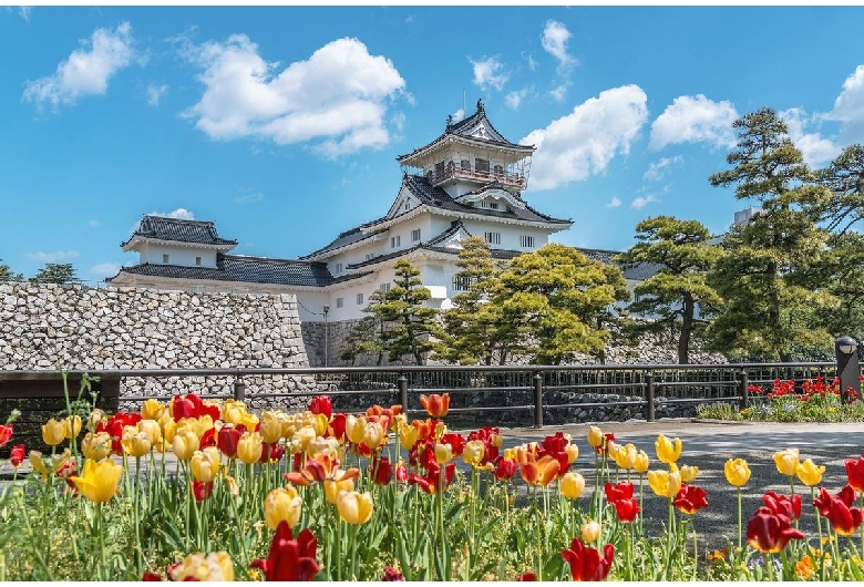 富山城（富山市郷土博物館）