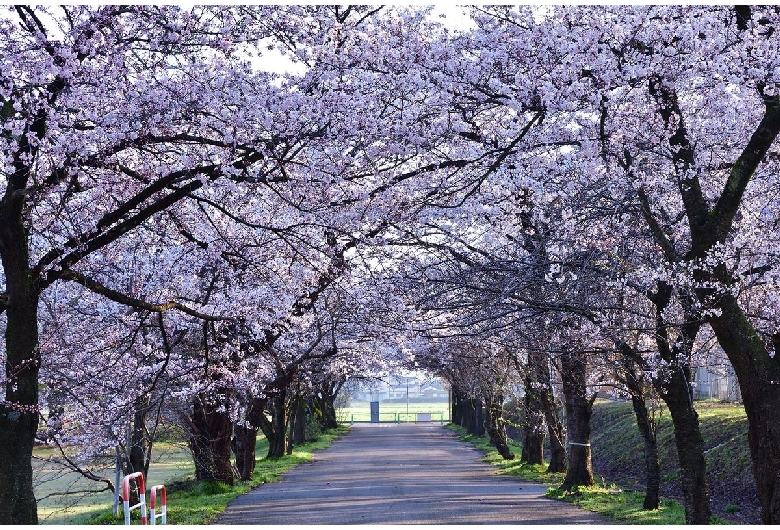 村松公園