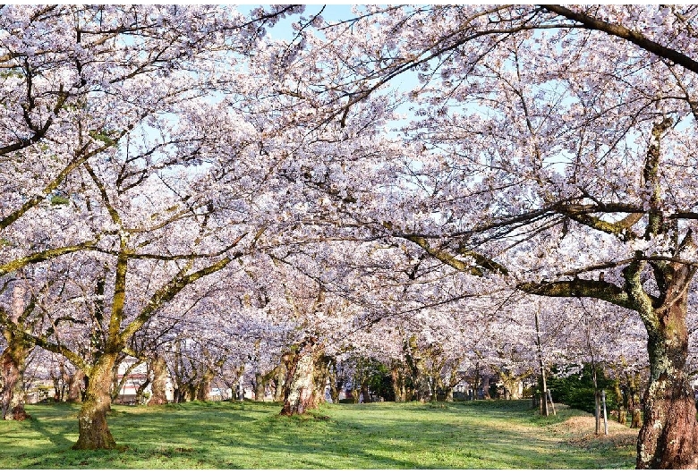 村松公園