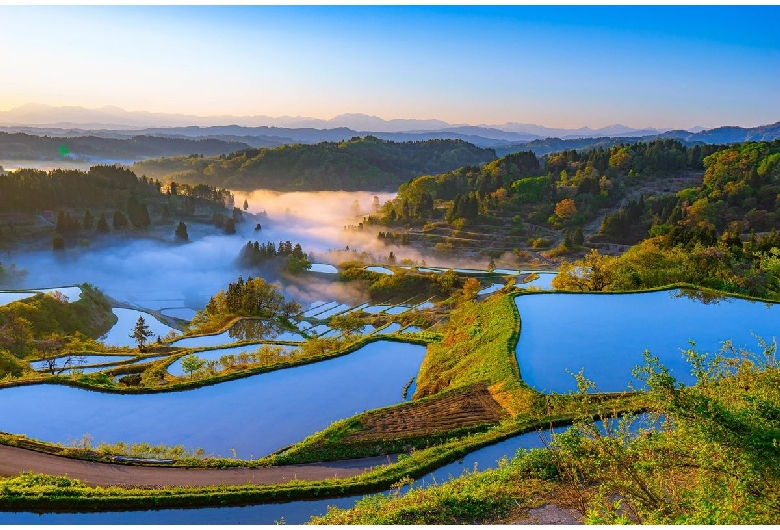 星峠棚田