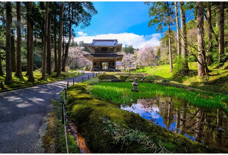 林泉寺