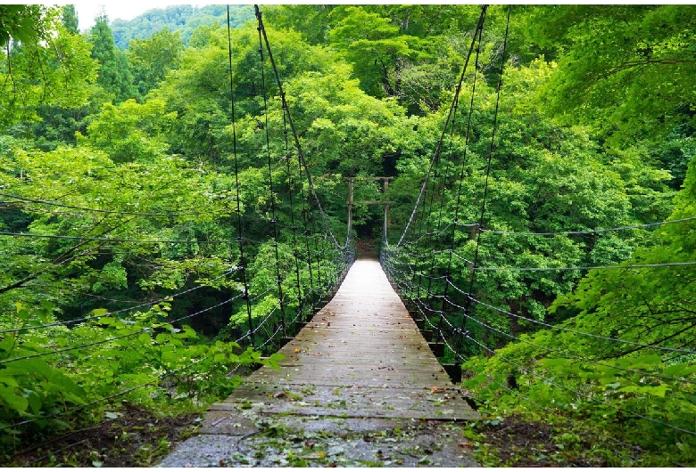 見倉橋