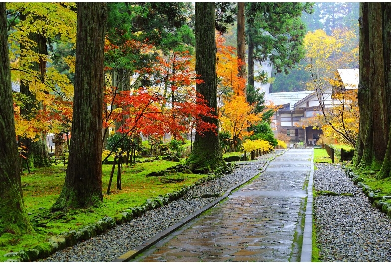 雲洞庵