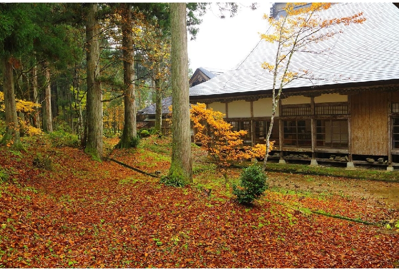 雲洞庵