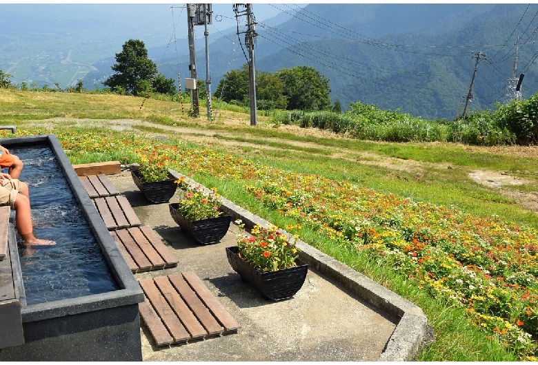 湯沢高原アルプの里