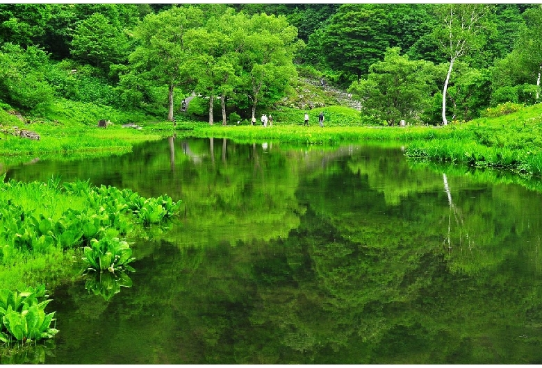 湯沢高原アルプの里