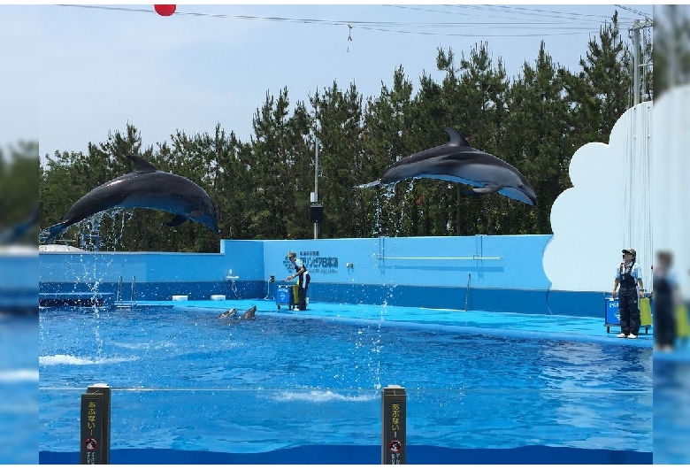 新潟市水族館 マリンピア日本海