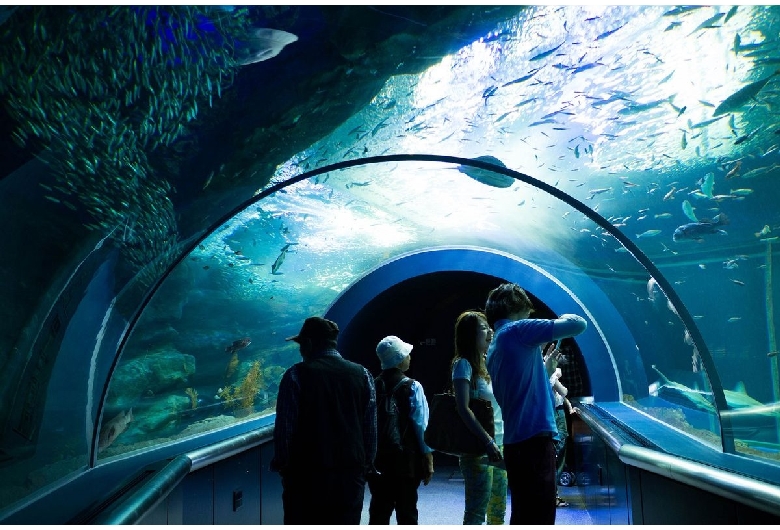 新潟市水族館 マリンピア日本海