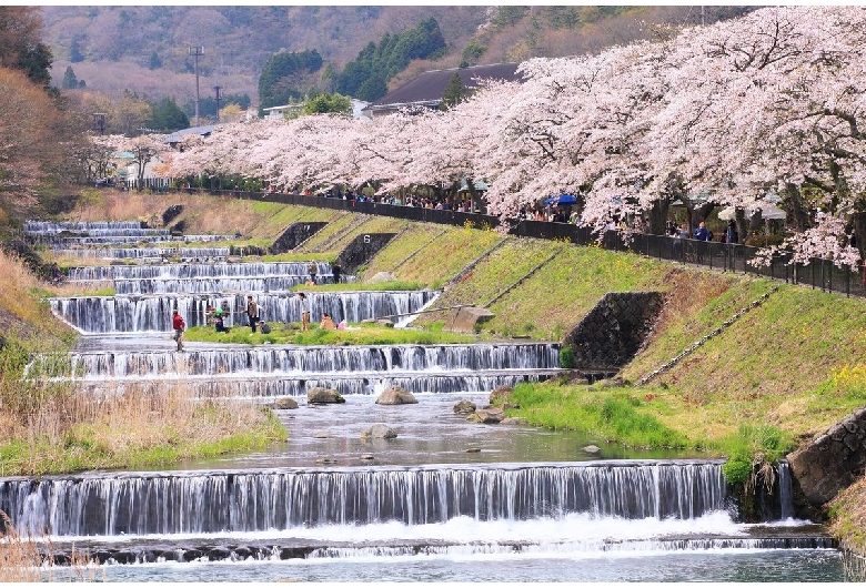 宮城野早川堤