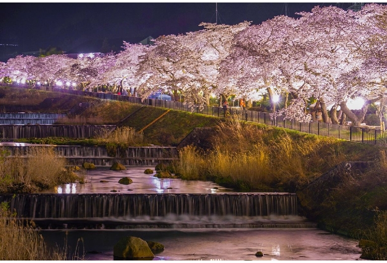 宮城野早川堤