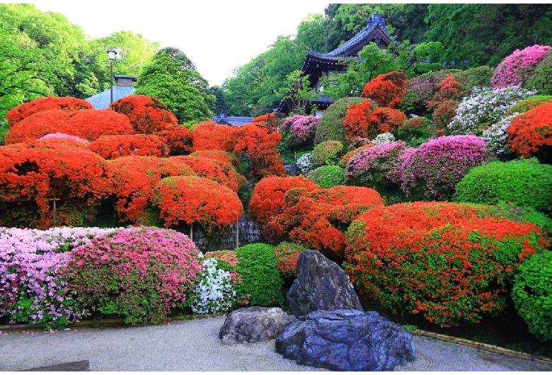 神木山等覚院