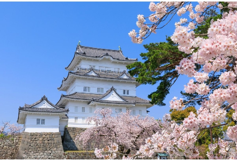 小田原城