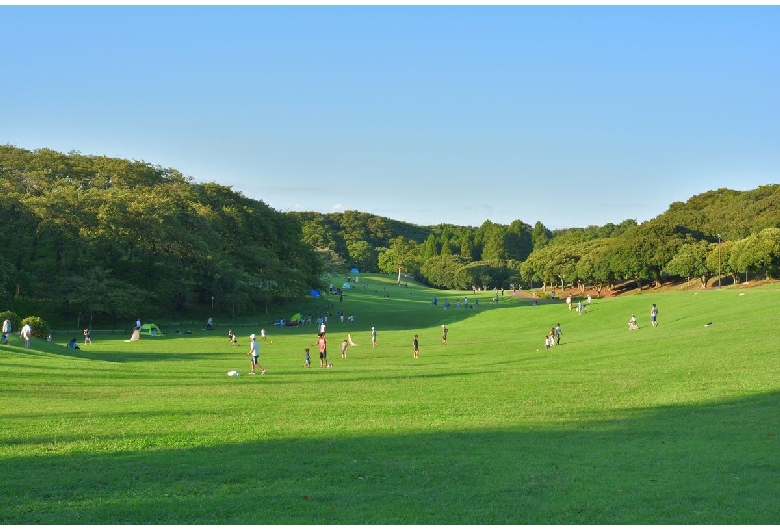 根岸森林公園