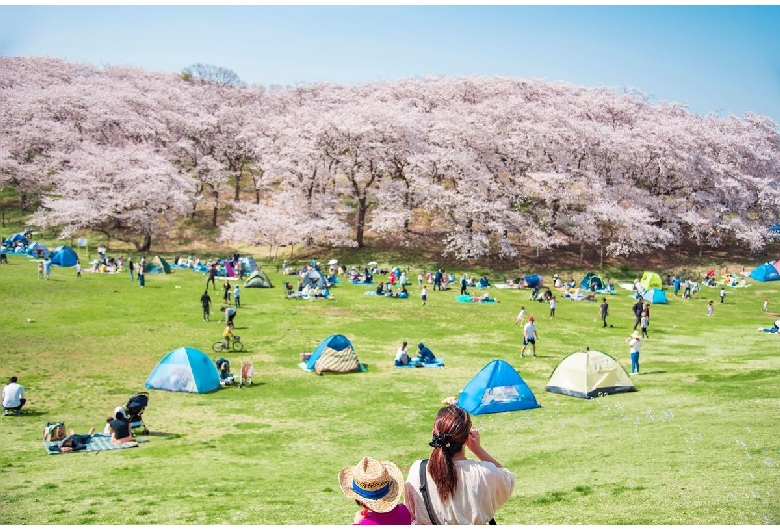 根岸森林公園