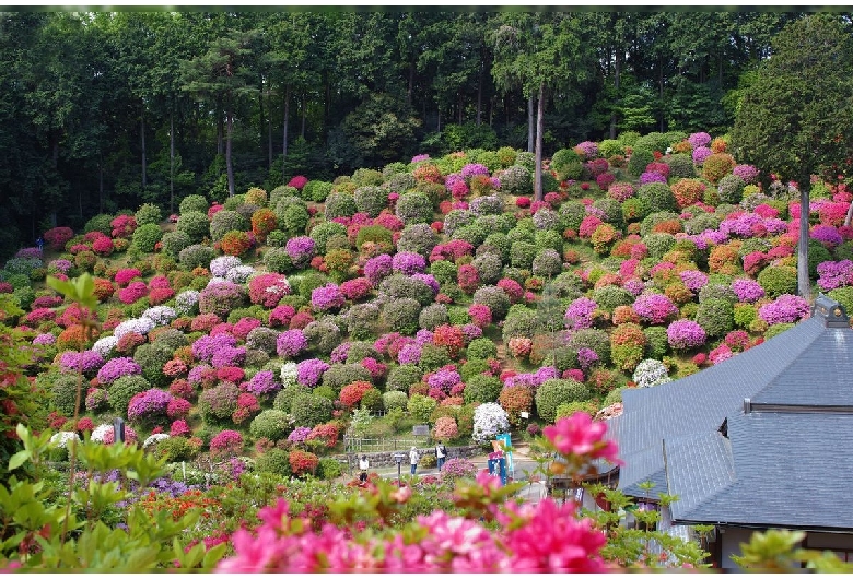 塩船観音寺