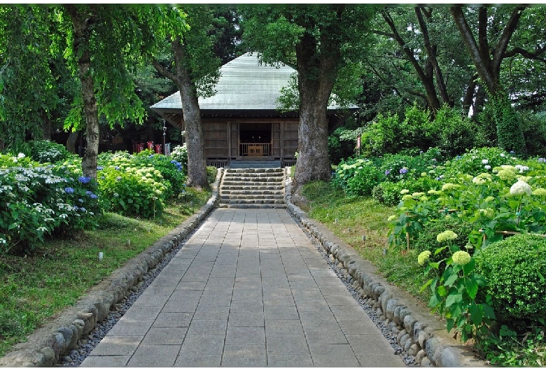 塩船観音寺