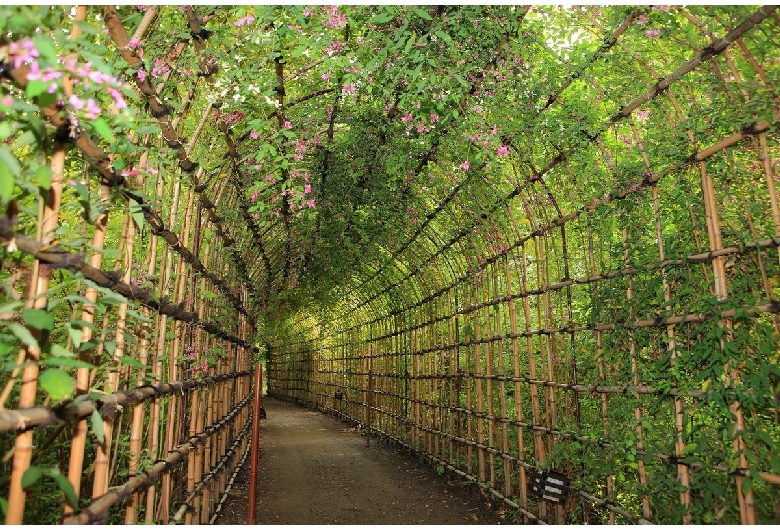 向島百花園