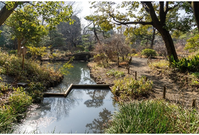 向島百花園