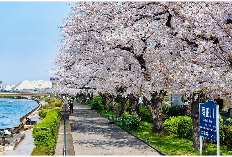 墨田公園