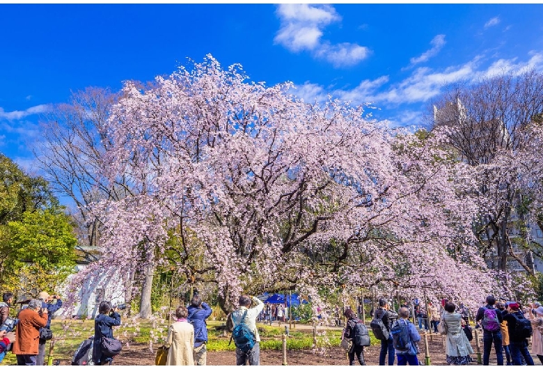 六義園