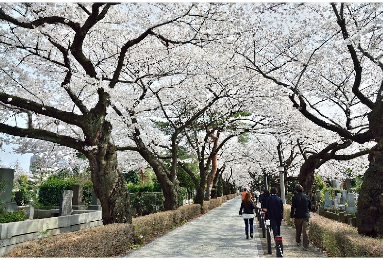 青山霊園