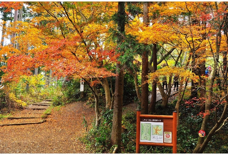 高尾山