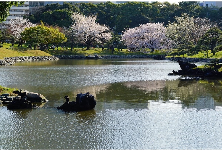 浜離宮恩賜庭園