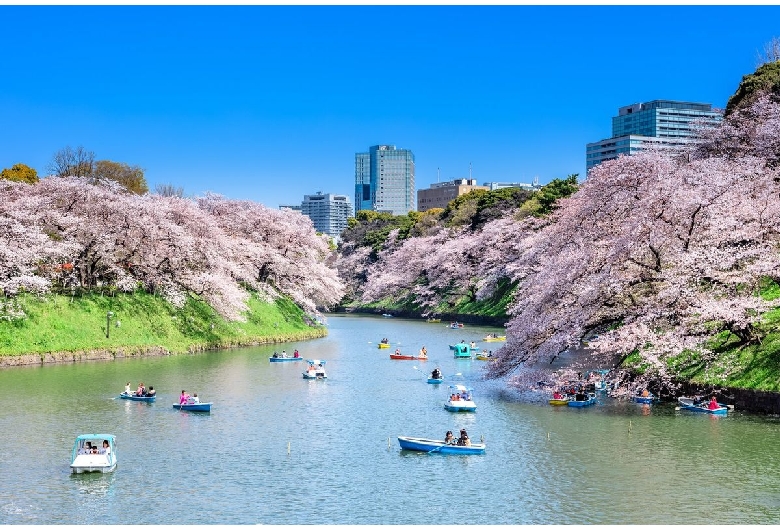 千鳥ヶ淵（日本武道館・北の丸公園）