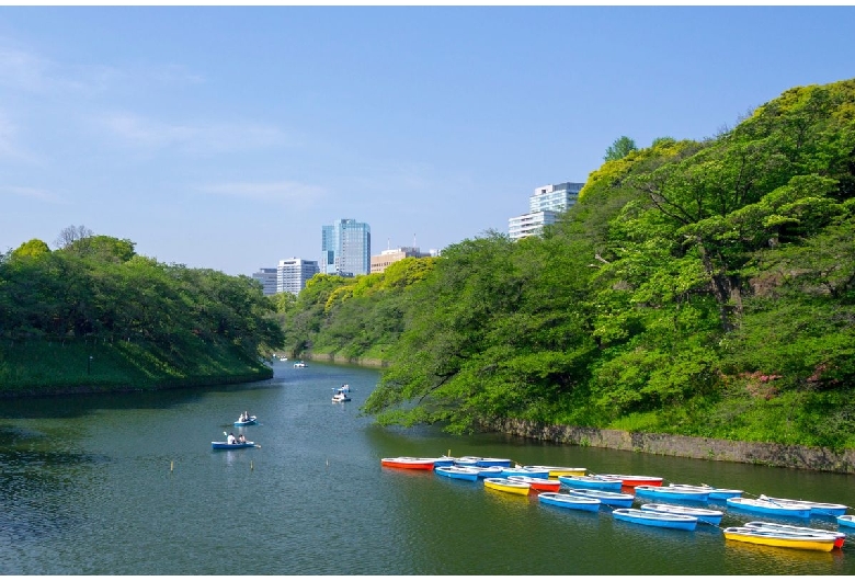 千鳥ヶ淵（日本武道館・北の丸公園）