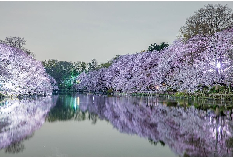 井の頭公園