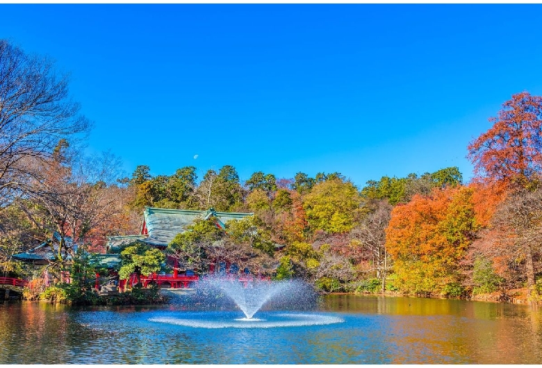 井の頭公園