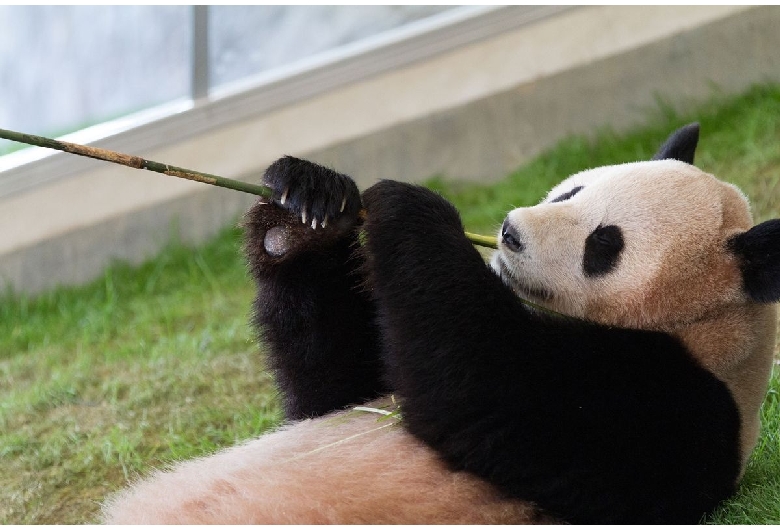 上野動物園